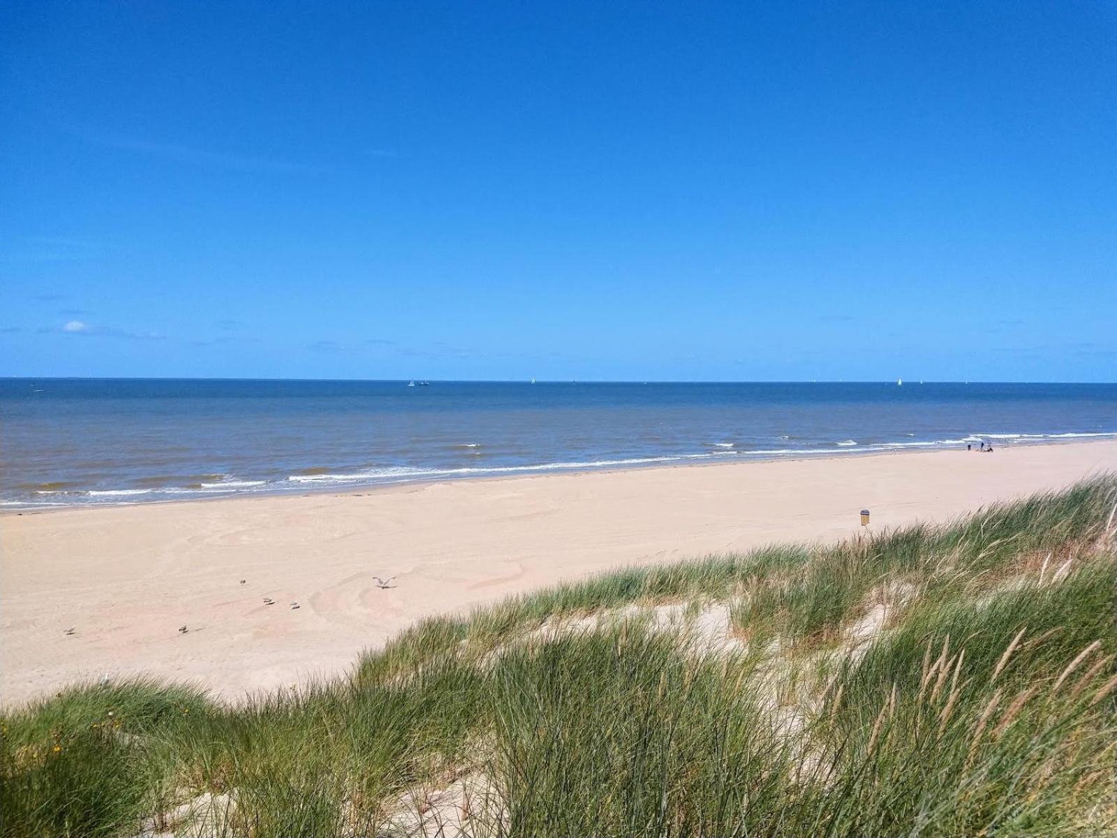 Strandchalet 布列登 外观 照片