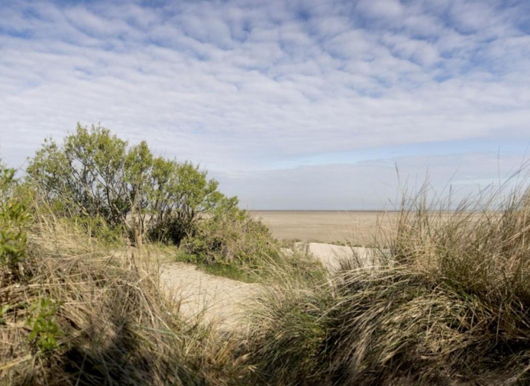 Strandchalet 布列登 外观 照片